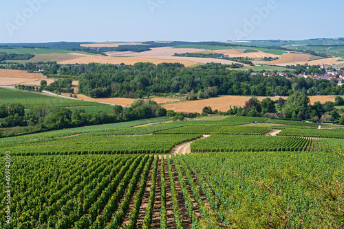 overlooking vineyards and town of chablis in valley with cultivated fields in distance 