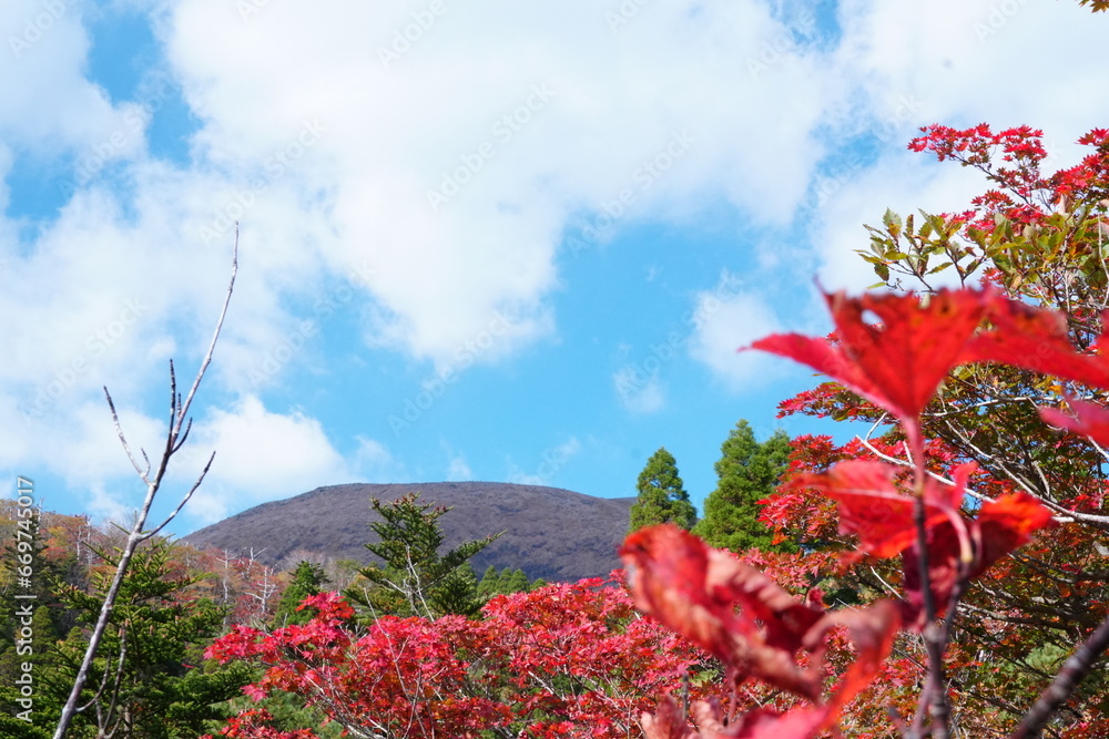 山のもみじの紅葉と青空とモミジ「紅葉狩り」