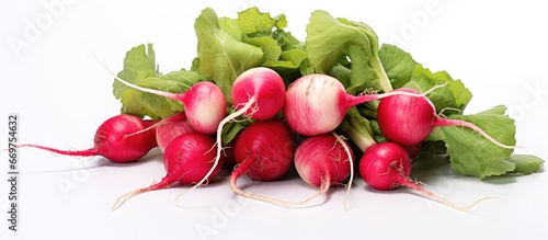 Isolated white background with small garden radish
