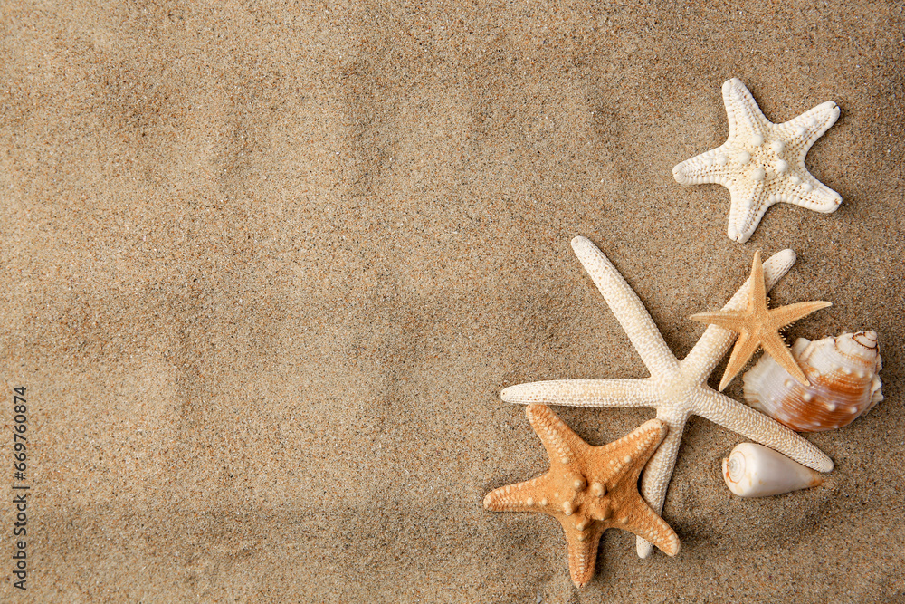 Beautiful starfishes and sea shells on sand, flat lay. Space for text Beautiful starfishes and sea shells on sand, flat lay. Space for text