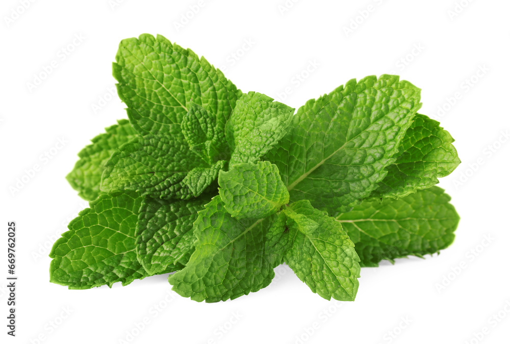 Fresh green mint leaves isolated on white Fresh green mint leaves isolated on white