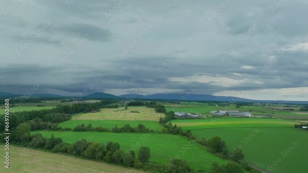 Flying over windbreaks and green fields by farm in rural Hokkaido in summer Flying over windbreaks and green fields by farm in rural Hokkaido in summer