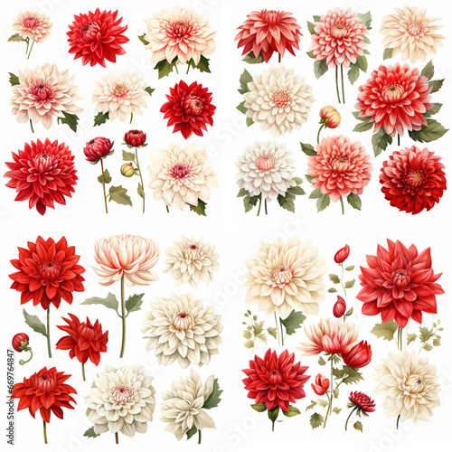 watercolor head petal bouquet no people botanical illustration set collection white art red floral