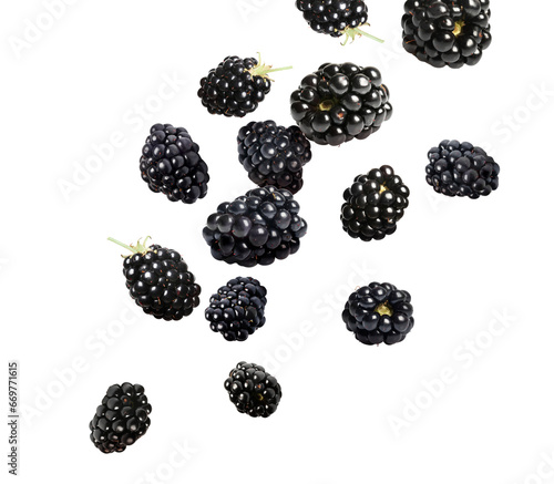 Many fresh blackberries falling on white background