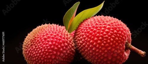 Thailands large lychee is a fruit found in Asia photo