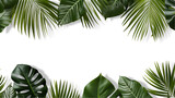 Compotition of tropical leaves on transparent background for advertising