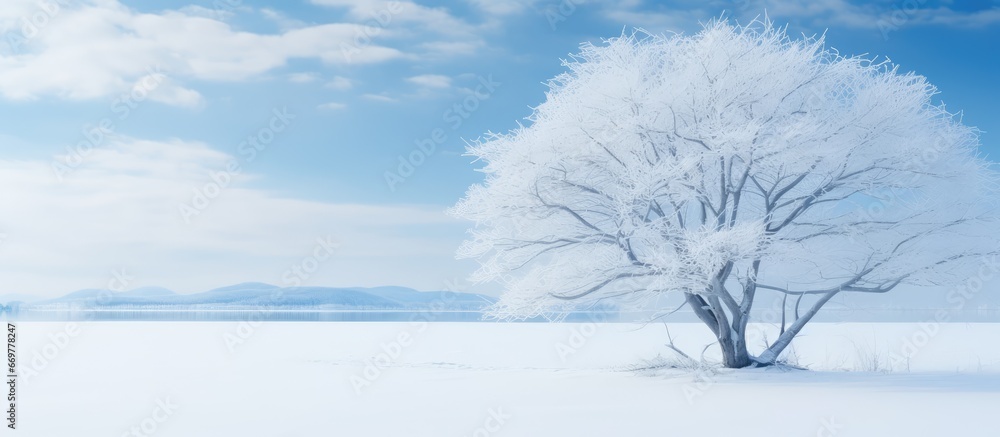 Hokkaido lake during winter