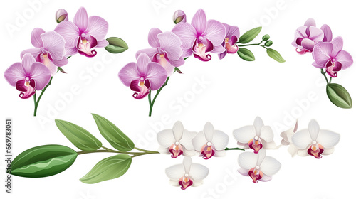 Set of pink orchid flower branch with tropical leaves and elements isolated on transparent background. Generative AI