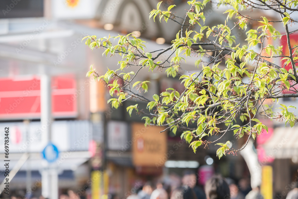 Obraz premium サンモール商店街