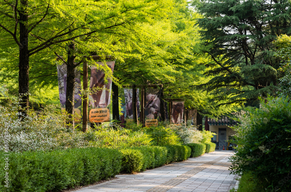 Arboretum with beautiful walking trails, South Korea