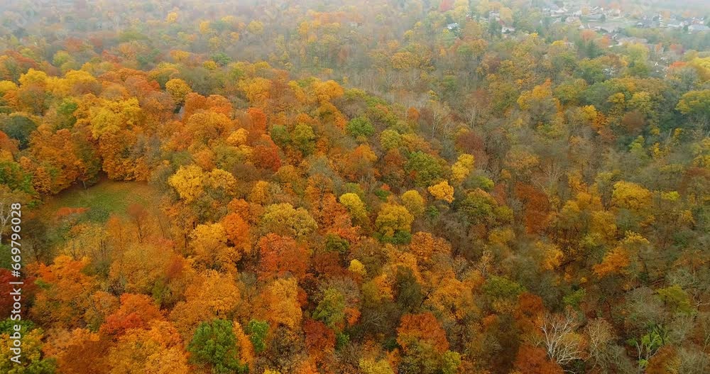 Stunning fall tree colors during autumn season in the hills of the Midwest. Filmed in 4k, drone video. Stunning fall tree colors during autumn season in the hills of the Midwest. Filmed in 4k, drone video.