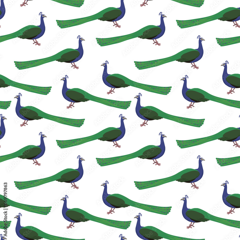 vector drawing seamless pattern with bird, hand drawn peacock , hand drawn natural background