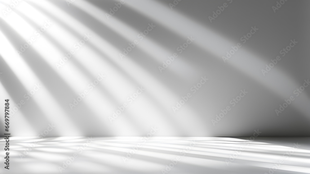Abstract minimal empty black and white 3d room background. Modern Studio showcase with copy space. Mock up scene with natural window shadows, dappled light overlay effect. empty room Abstract minimal empty black and white 3d room background. Modern Studio showcase with copy space. Mock up scene with natural window shadows, dappled light overlay effect. empty room