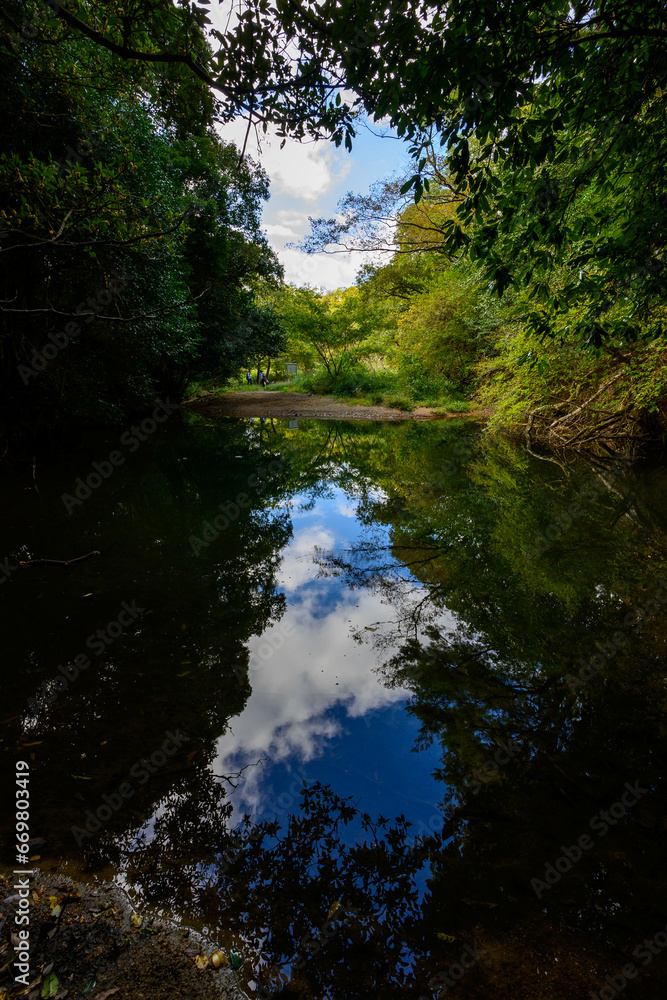 森の中の池。青空と緑が水面に映り込む。六甲山中腹の住吉道にて撮影。