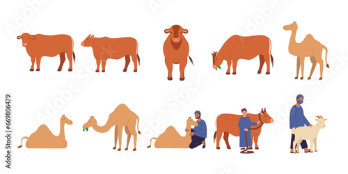 Full Set of Cow and Camel for Qurban   Eid Adha Series