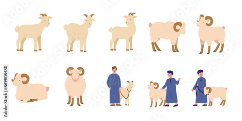 Full Set of Sheep and Goat Qurban | Eid Adha Series