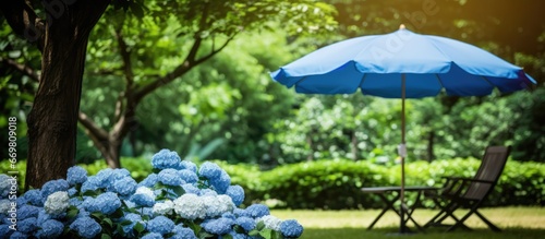 Wallpaper Mural Relaxing day in the garden with a blue umbrella Torontodigital.ca