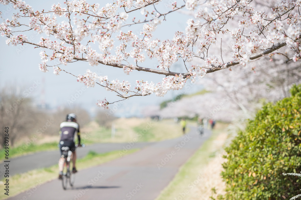多摩川と桜とサイクリング