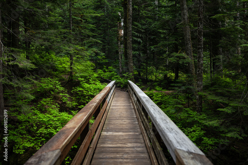 Wooden Bridge Crossing Through Lush Green Forest in Washington