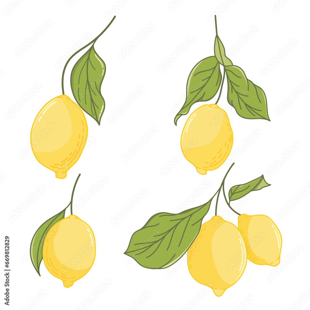 Obraz premium Lemon cute doodle vector on white background