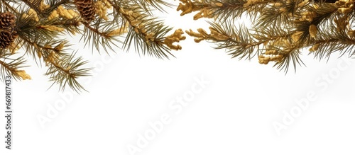 Pine tree branches adorned with golden tinsel