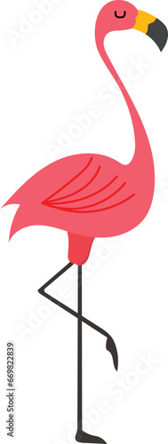 Tropical flamingo illustration