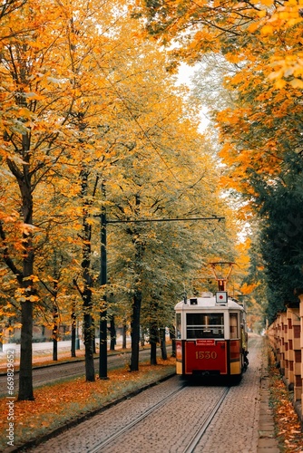An old tram rides along an autumn alley in Prague