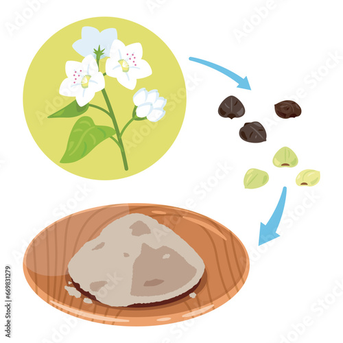皿に盛られたそば粉　そばの花とそばの実