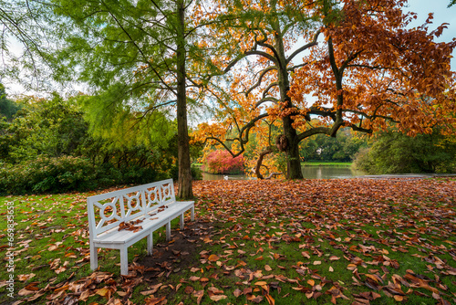 Muskau Park view in Bad Muskau Town of Germany photo