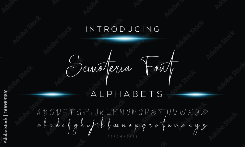 Hand drawn vector alphabet. Script font. Isolated letters written with marker, ink. Calligraphy, lettering.
