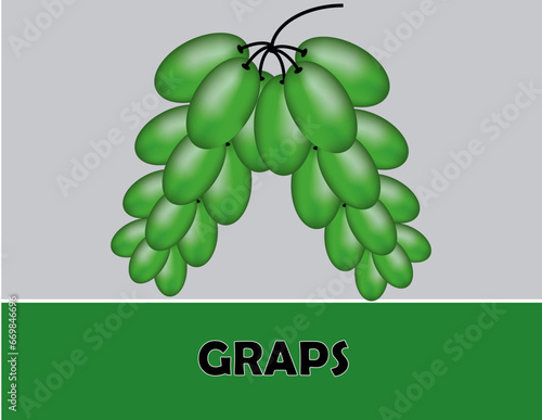 ,Bunch of different types of fresh grapes
Keywords:green christmas tree,Graps Projects | Photos, videos, logos, illustrations and branding on illustrater photo