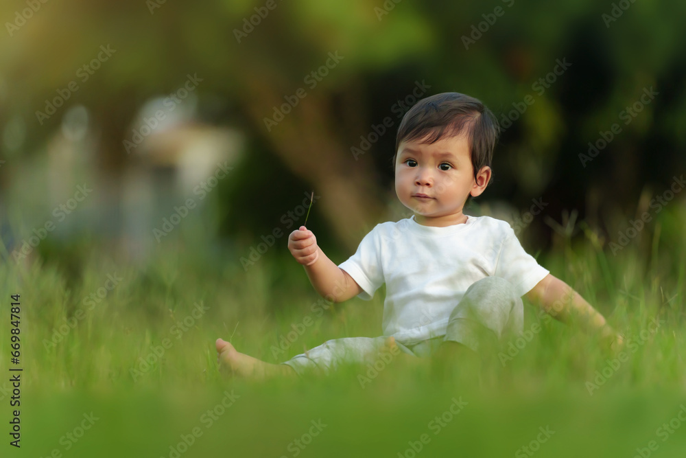 infant baby sitting and playing grass flower in field at park infant baby sitting and playing grass flower in field at park