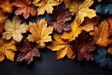 maple autumn sheet on black background