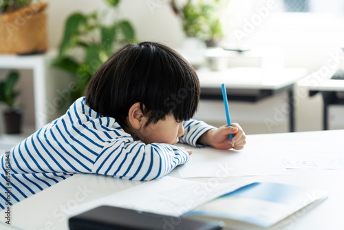 勉強する日本人の男の子 photo