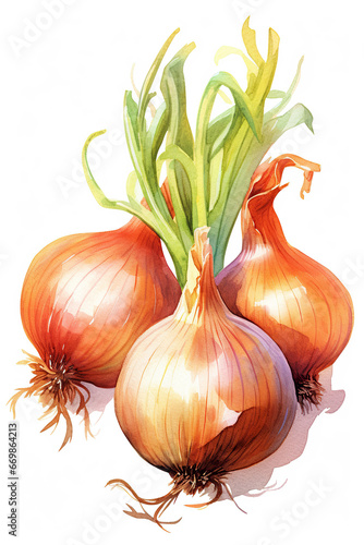 onion watercolor clipart cute isolated on white background