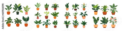 Collection of Potted Houseplants Illustration PNG