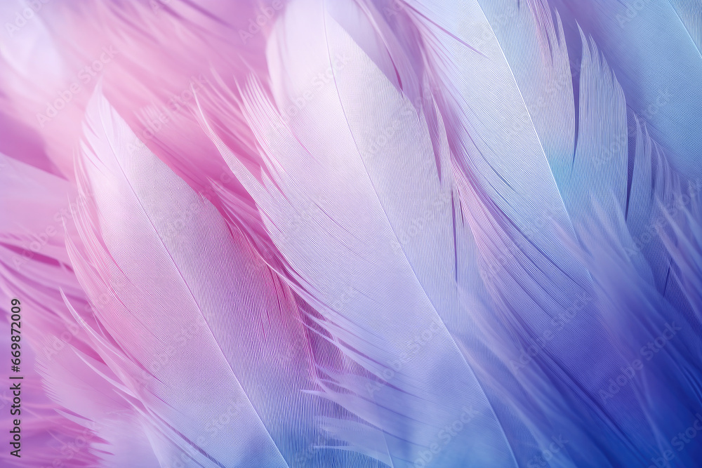 Macro view of pink purple gradient feathers background Macro view of pink purple gradient feathers background