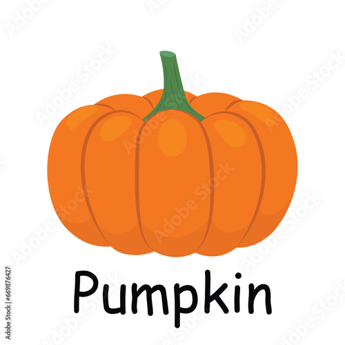 Pumpkin illustration flat vector. Vegetables flashcard. Element for kitchen, cooking, super market, healthy lifestyle concept