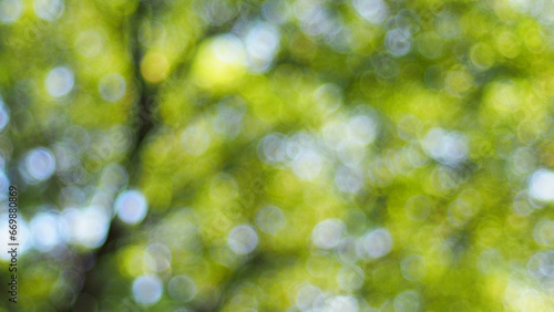 Abstract defocused green background
