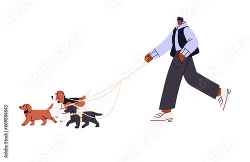 Owner walk puppy, pet group, hold leash in hand. Man stroll with many doggies of diverse breed on street. Professional dog sitter, canine service. Flat isolated vector illustration on white background
