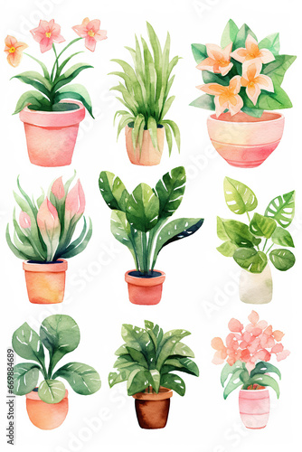 Plant flower pot set collection watercolor clipart isolated on white background