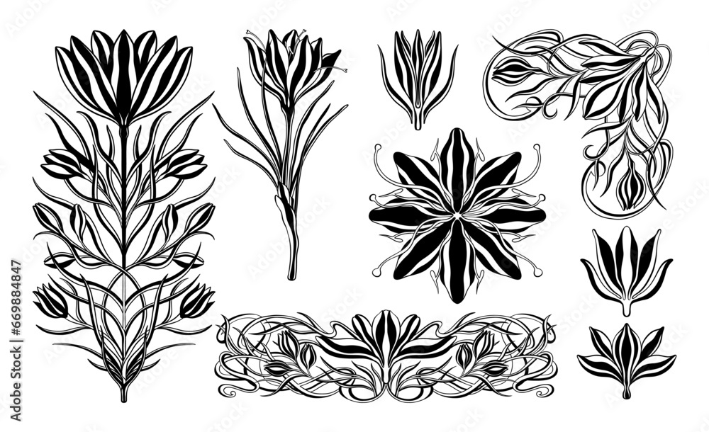 Floral crocus plant in art nouveau 1920-1930. Hand drawn crocus in a linear style with weaves of lines, leaves and flowers. Floral crocus plant in art nouveau 1920-1930. Hand drawn crocus in a linear style with weaves of lines, leaves and flowers.