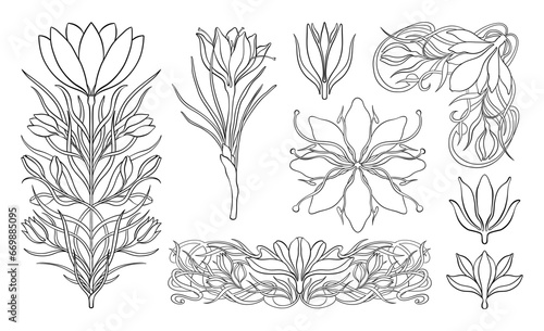 Floral crocus plant in art nouveau 1920-1930. Hand drawn crocus in a linear style with weaves of lines, leaves and flowers. © ArinaKram