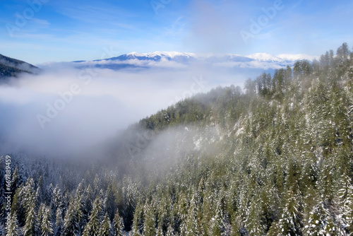 Snow pine trees and mountain peaks, Rila Bulgaria