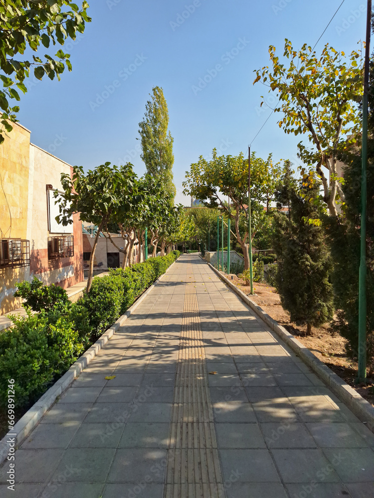 alley in the park of the city