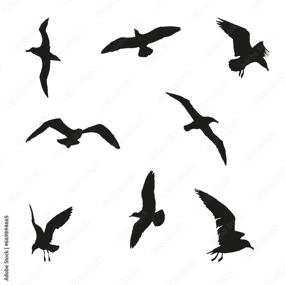 Fototapeta premium Set of silhouettes of black different seagulls on a white background