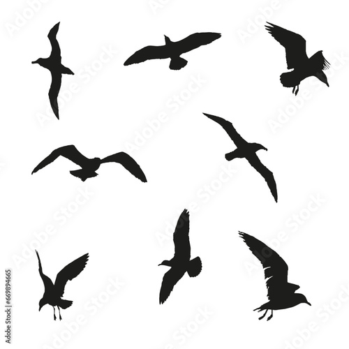 Set of silhouettes of black different seagulls on a white background © Цілуйко Єлизавета