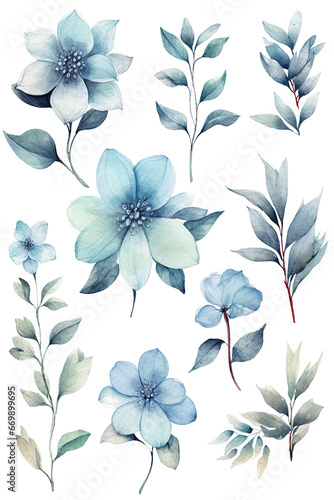 flowers tree braches set collection watercolor clipart isolated on white background