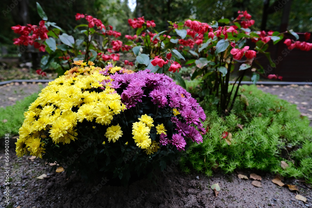 Naklejka premium bouquet of flowers on the grave
