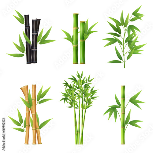 Bamboo plants. Realistic illustration templates of different colors of bamboo stick decent vector pictures © ONYXprj